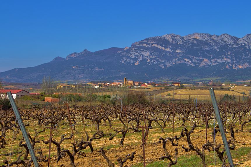 Viñas de Rioja Alavesa