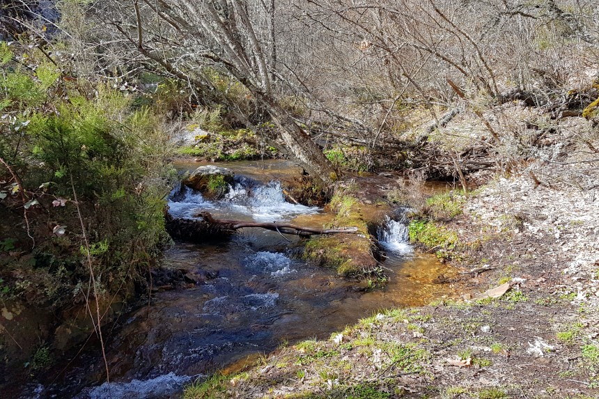 Arroyo de la Fuentecilla