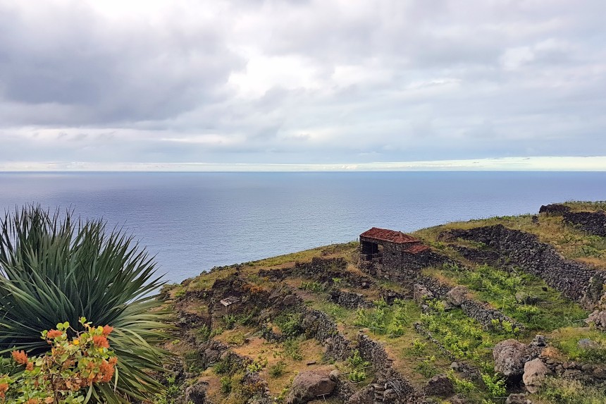 viñedos de Tenerife en Anaga