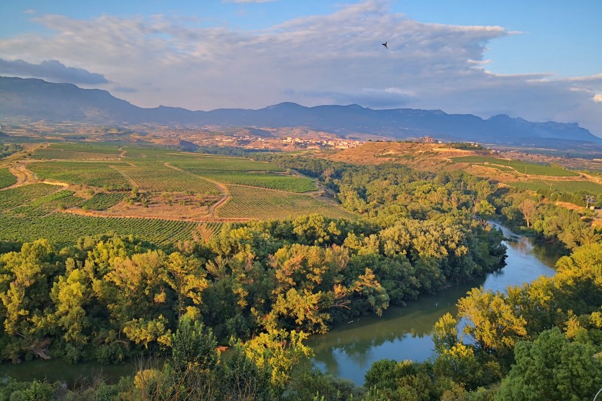 mirador de Briones