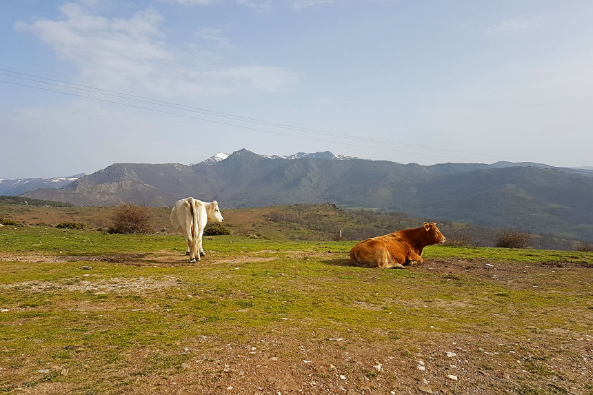 entorno de La Hiruela