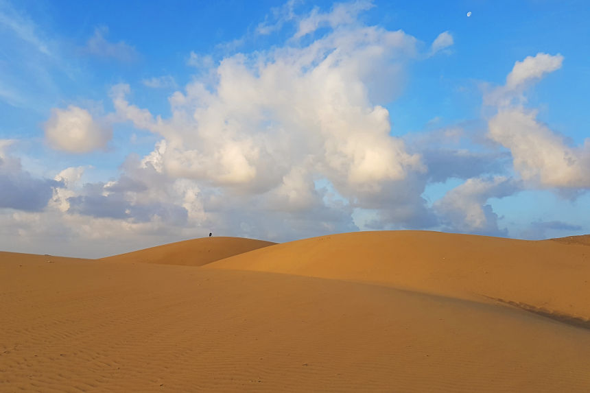 dunas móviles de Maspalomas