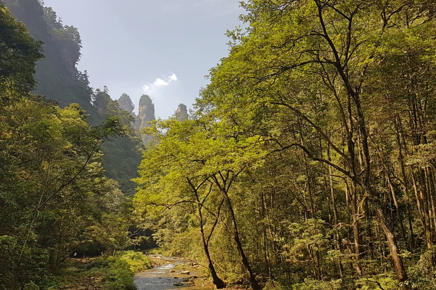 seguro de viaje para ir a China