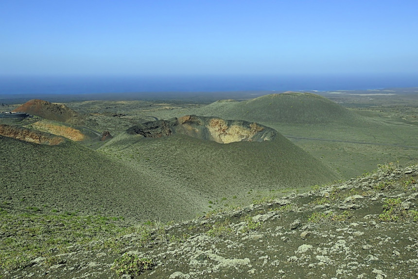 flora y fauna en Timanfaya