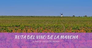 Ruta del Vino de La Mancha, el mayor viñedo del mundo