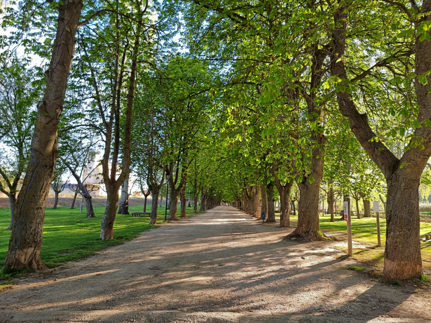 Parque de la Dehesa